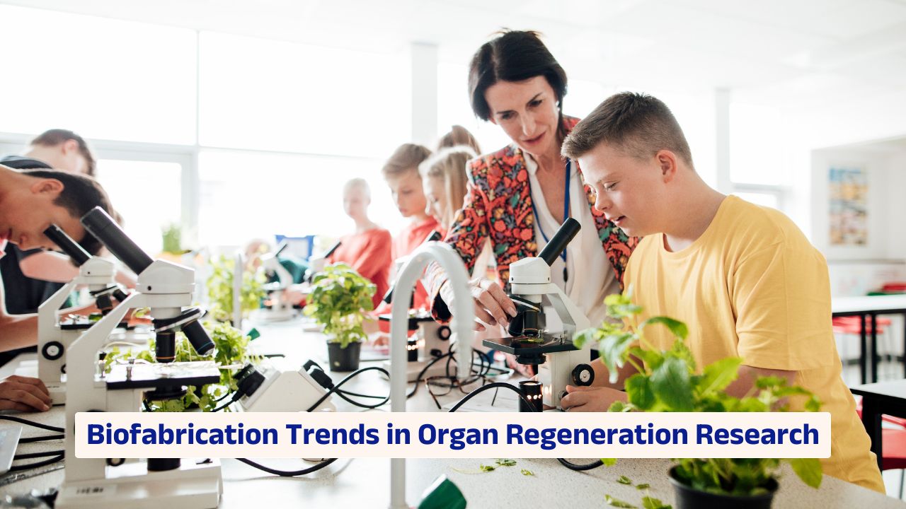 Biofabrication trends in organ regeneration research using 3D bioprinting technology