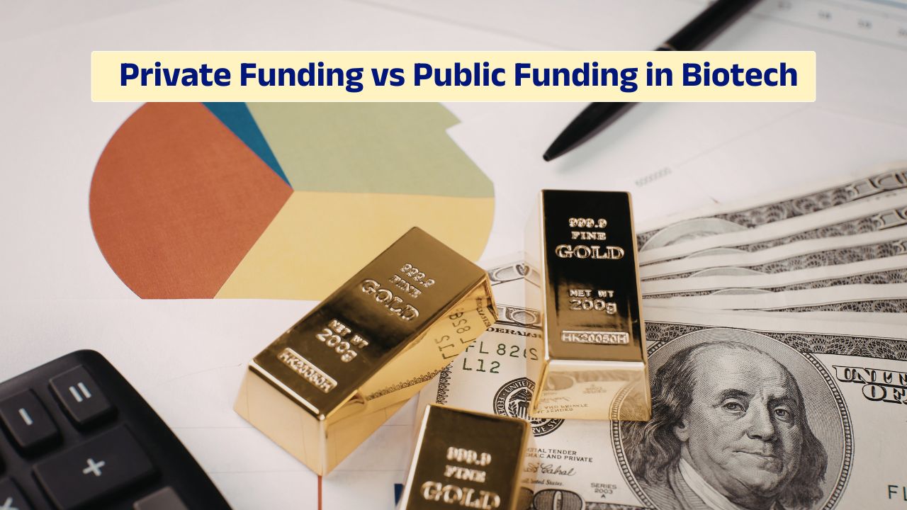 Private vs public funding strategies in biotech industry