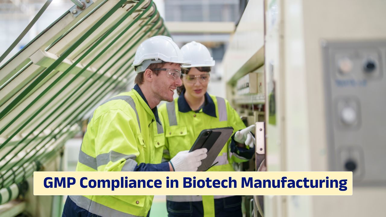 GMP compliance in biotech manufacturing and FDA regulatory standards