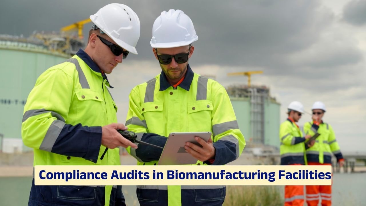Compliance audits in biomanufacturing facilities ensuring FDA regulatory standards