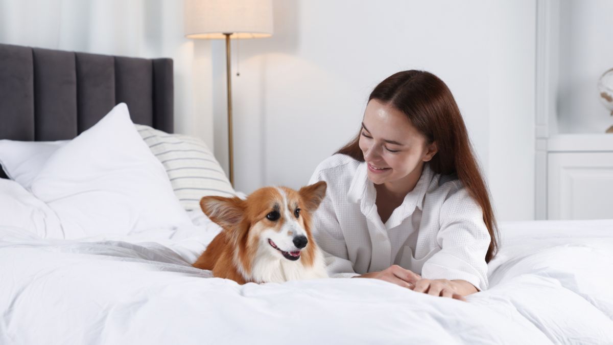 Pets in Bed